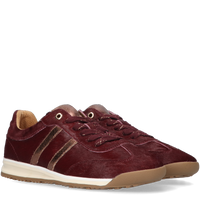 Tango Sneaker – Bordeaux